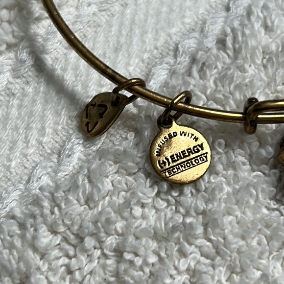 Alex and Ani gold metals adjustable bangle featuring a western saddle charm - Picture 4 of 7